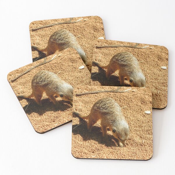 Item preview, Meerkat Treasure Hunter designed and sold by eidann.
