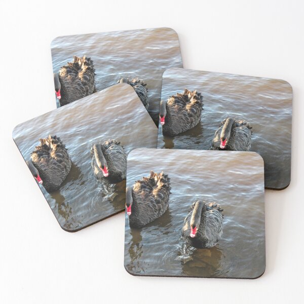 Item preview, Two Black Swans designed and sold by eidann.