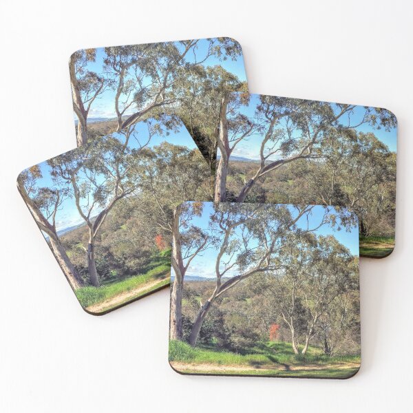 Item preview, Padman Mates Park, Albury designed and sold by eidann.