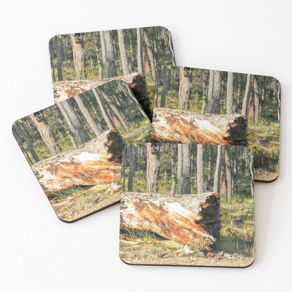 Item preview, Fallen Tree designed and sold by eidann.