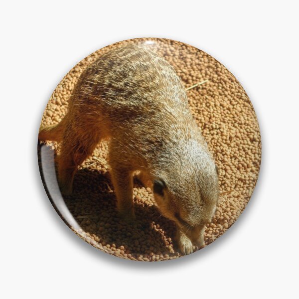 Item preview, Meerkat Treasure Hunter designed and sold by eidann.