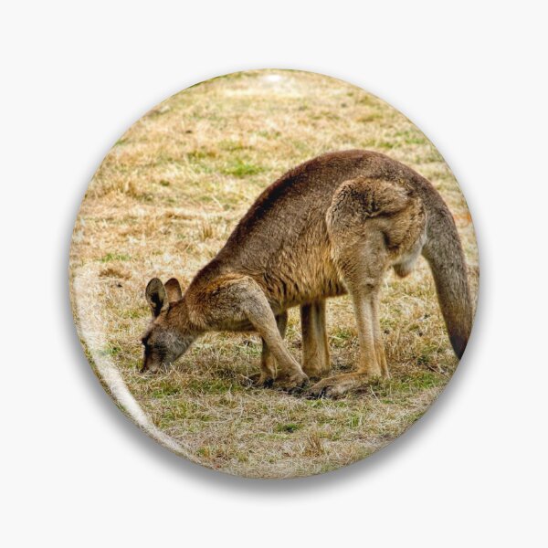 Artikelvorschau, Hungriger Känguru entworfen und verkauft von eidann.