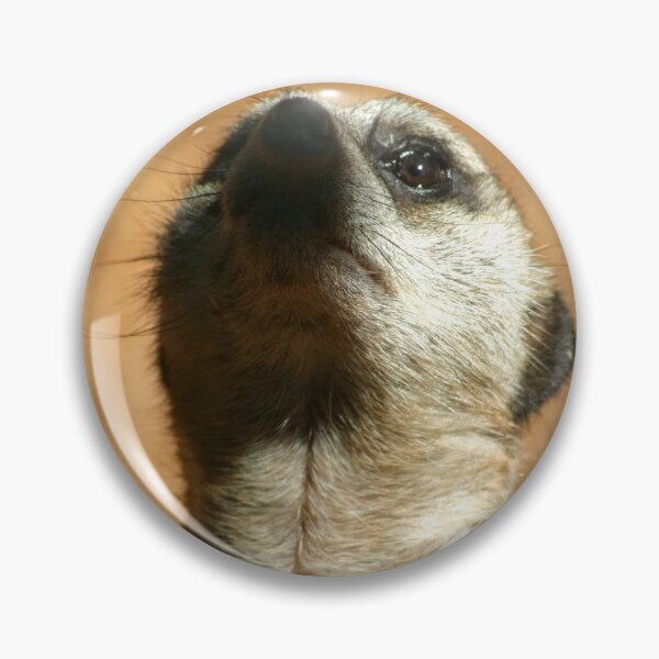 Item preview, What's up Meerkat? designed and sold by eidann.