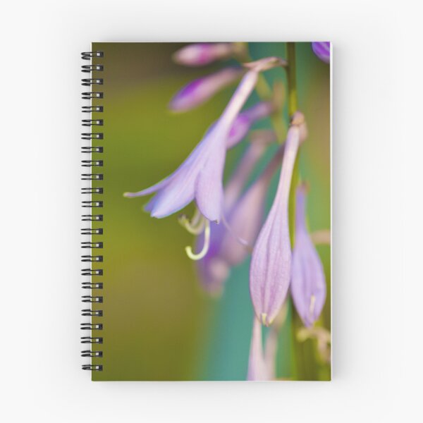 Item preview, Budding  designed and sold by Kelly J. Kreger.