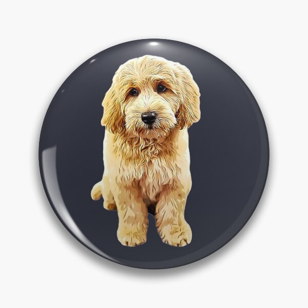Artikelvorschau, Goldendoodle Cute Puppy Eyes! entworfen und verkauft von ElegantCat.