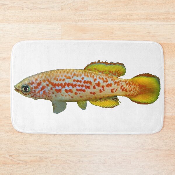 Item preview, Pronothobranchius kiyawensis "GH 06-5 Ada" - Killifish designed and sold by killies.