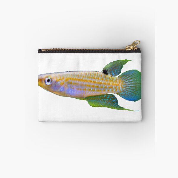 Item preview, Aplocheilus kirchmayeri designed and sold by killies.