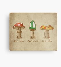 Mario Mycology Metal Print
