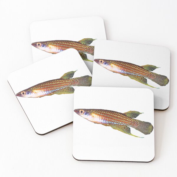 Item preview, Aplocheilus parvus - Killifish designed and sold by killies.