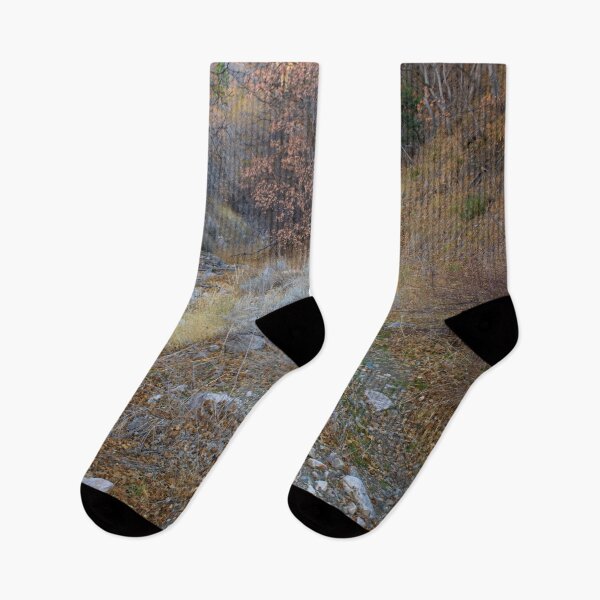 Item preview, Autumn wooded landscape with rocks and boulders    designed and sold by Ventures1.