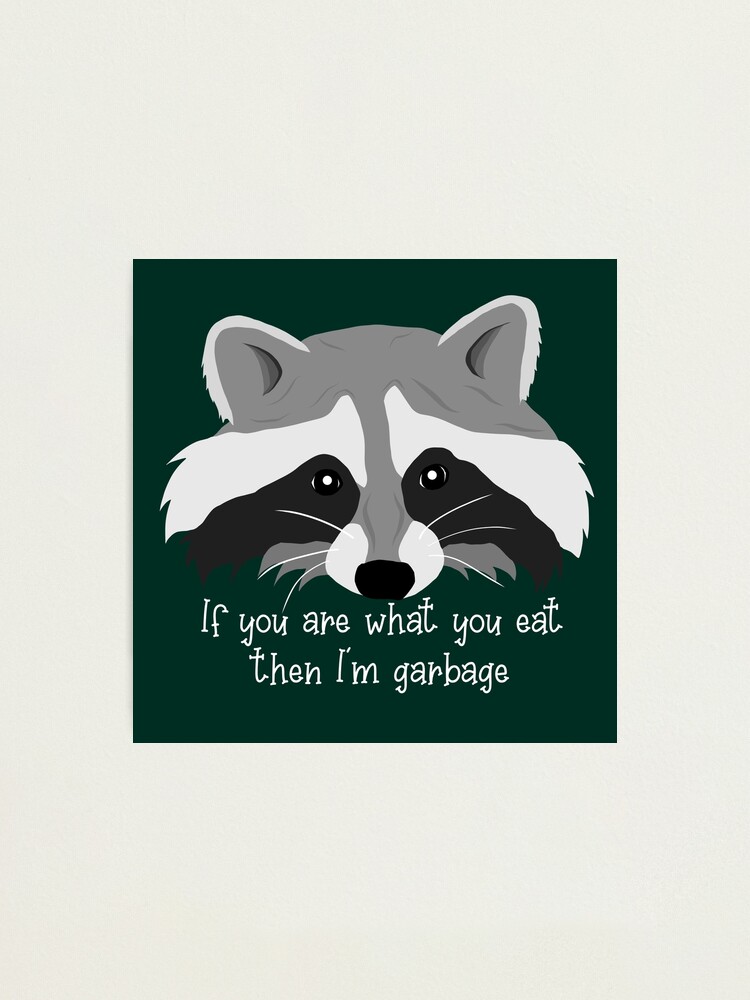  I Eat What I Want Garbage Trash Raccoon Raglan