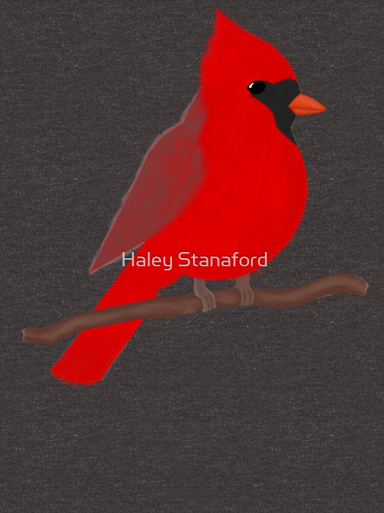 Male Cardinal Essential T-Shirt for Sale by sylvanmist