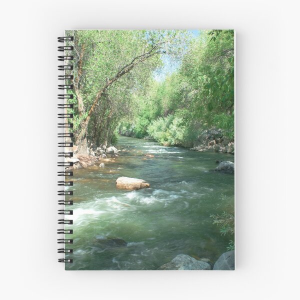 Aperçu de l'œuvre Belle rivière nature avec forêt, rochers, rochers, arbres, plantes et eau créée et vendue par Ventures1.