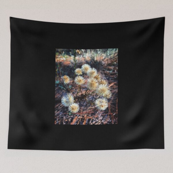 Item preview, Seeds designed and sold by XXX Zombieboy XXX.