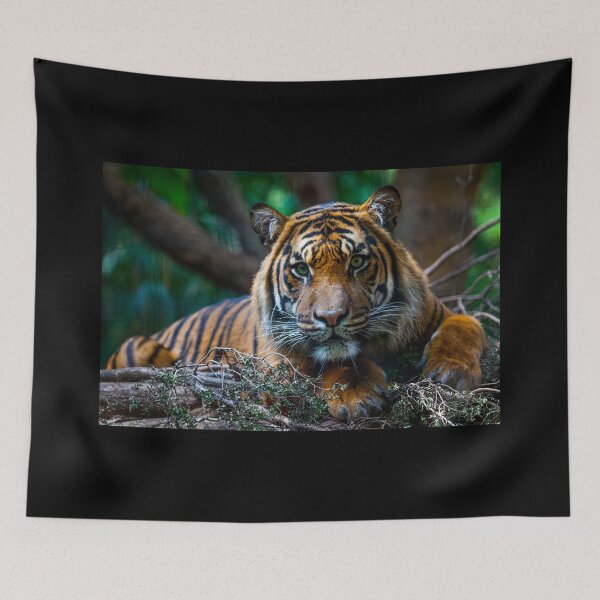 Item preview, Tiger Portrait designed and sold by Daniela Pintimalli.