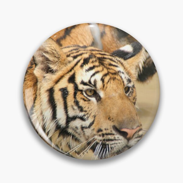Item preview, Two Tigers During Water Play  designed and sold by Carole-Anne.