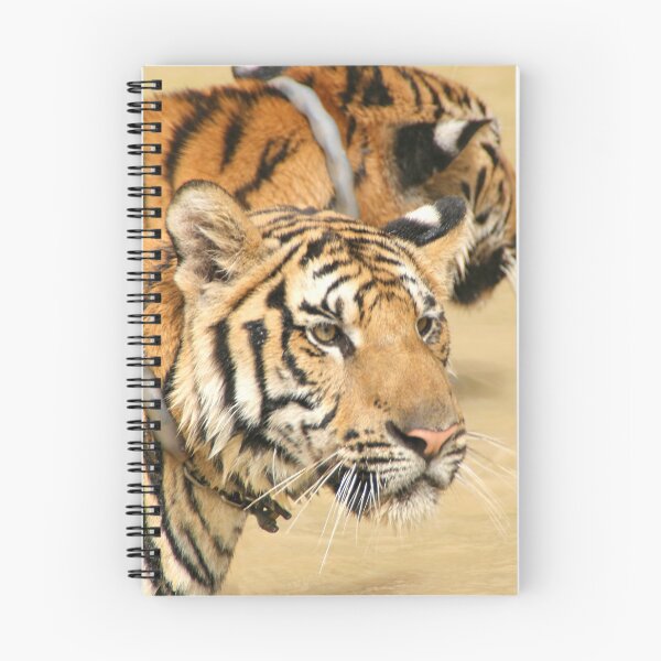 Item preview, Two Tigers During Water Play  designed and sold by Carole-Anne.