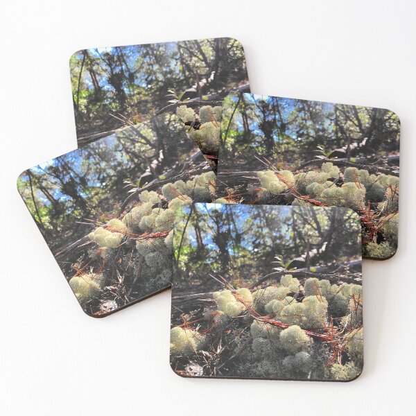 Item preview, Deer Moss designed and sold by XXX Zombieboy XXX.