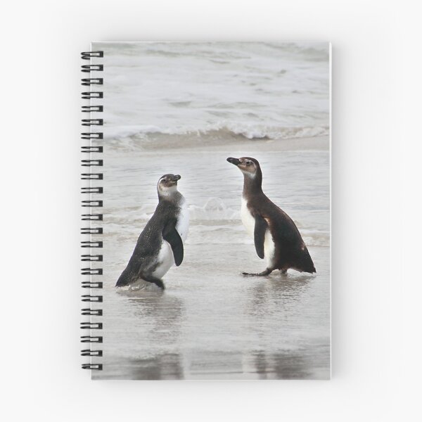 Item preview, Magellanic Penguin Juveniles designed and sold by Carole-Anne.