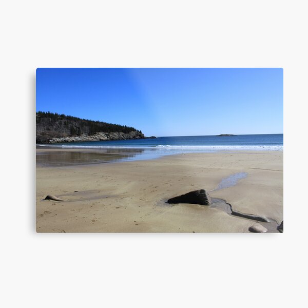 Acadia beach in winter Metal Print