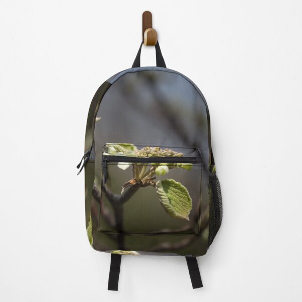 Item preview, Spring Buds in Quebec designed and sold by Jola Martysz.