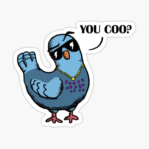 You Coo? Coo Pigeon. Sticker
