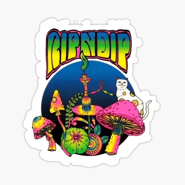 divers types de champignons Sticker