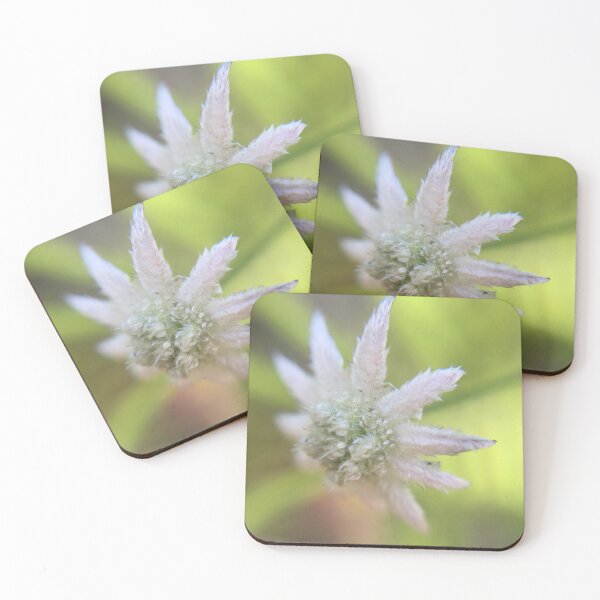 Item preview, Micro Flannel Flower designed and sold by Carolyn May.