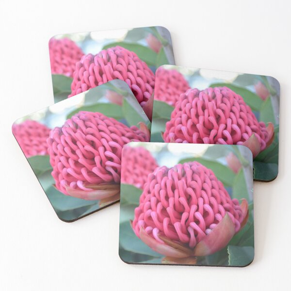 Item preview, Waratahs designed and sold by Carolyn May.