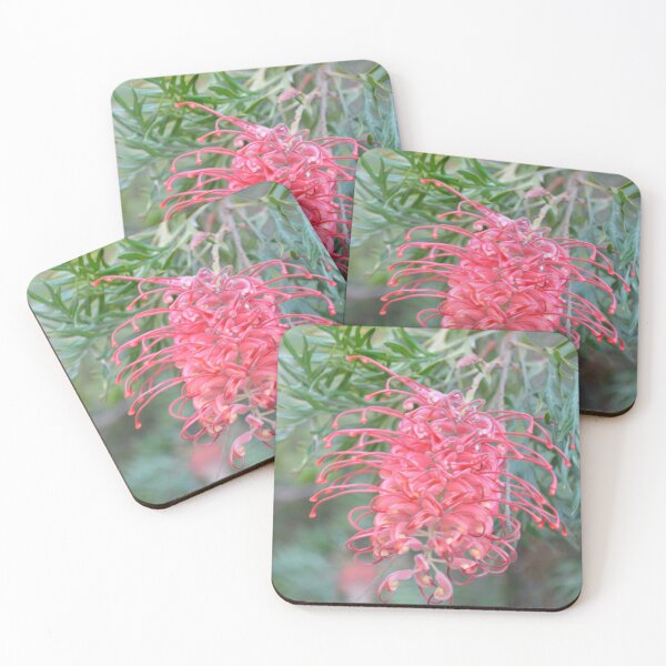 Item preview, Grevillea designed and sold by Carolyn May.