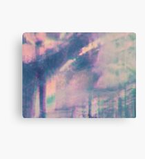 Moment in Time Canvas Print