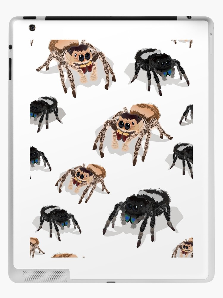 Jumping Spider Accessories for Sale