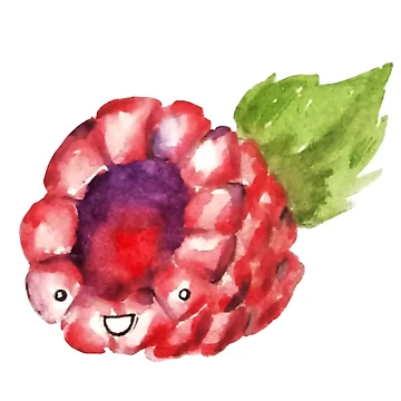 Artwork thumbnail, Happy Raspberry by Squeak Studio