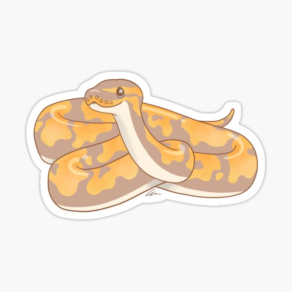 Banana ball python illustration II Sticker