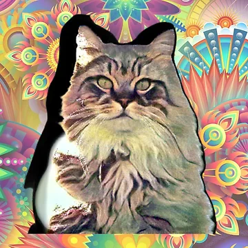 Artwork thumbnail, Patterned TobyCAT by HamiltonmagicTs