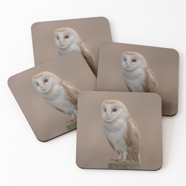 Item preview, barn owl designed and sold by tammy mellor.
