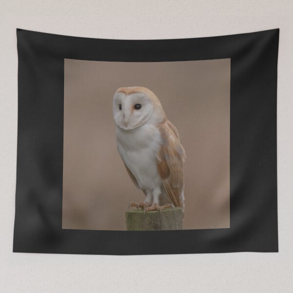 Item preview, barn owl designed and sold by tammy mellor.