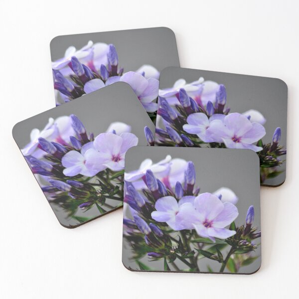 Item preview, Show Time designed and sold by michaelasamples.