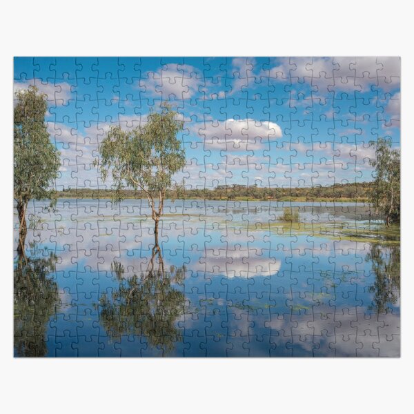 Reflective Wetlands Jigsaw Puzzle