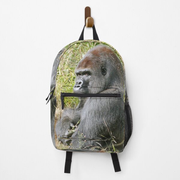 Item preview, An intimate portrait close-up 7 (c) (h) " dos argenté " A gorilla who is the star of the day .... designed and sold by o.okaïo.