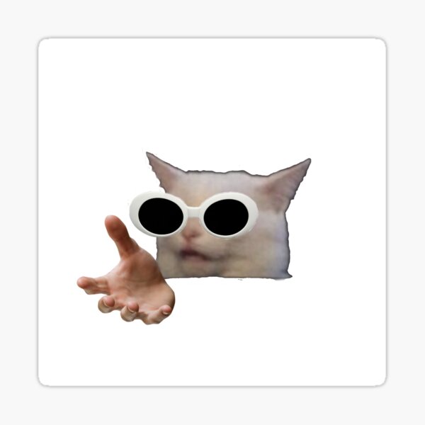 White Cat Hands Meme Gifts Merchandise Redbubble