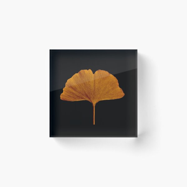 Item preview, Ginkgo Biloba Leaf designed and sold by RinoHidayah9.