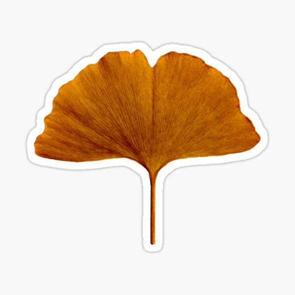 Stickers Duo de Ginkgo