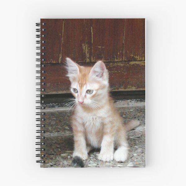Item preview, Cute Kitten designed and sold by Aasim Shaikh.