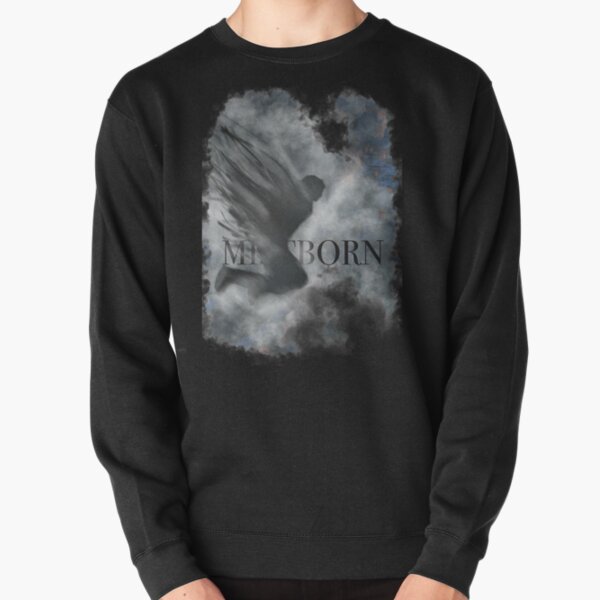 Flying through the mist Pullover Sweatshirt