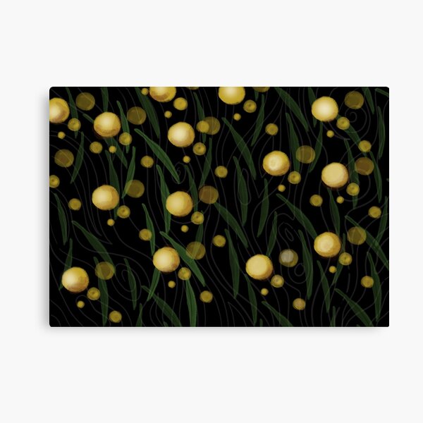 Golden Wattle Canvas Print