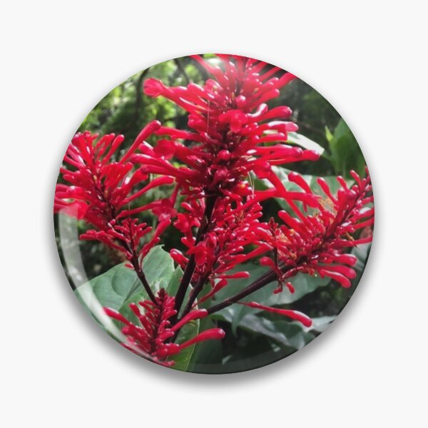 Item preview, Holiday Cheer & Aloha! designed and sold by IslandSun808.