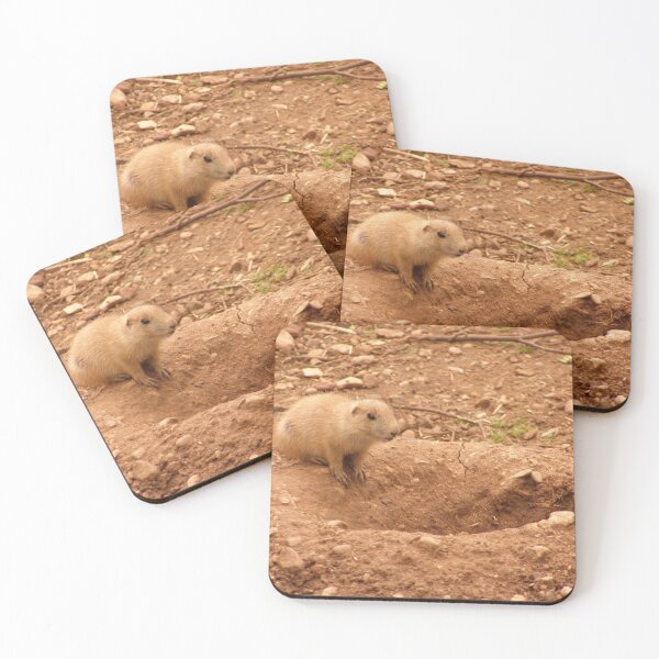 Item preview, Constant Vigilance! Prairie dog  designed and sold by Rockmonkey.