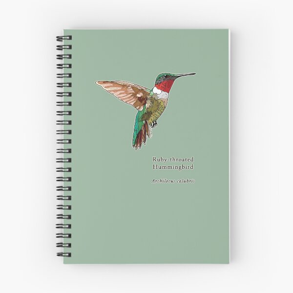 Item preview, Ruby throated Hummingbird with Name for Home Art etc designed and sold by HummingbirdPics.