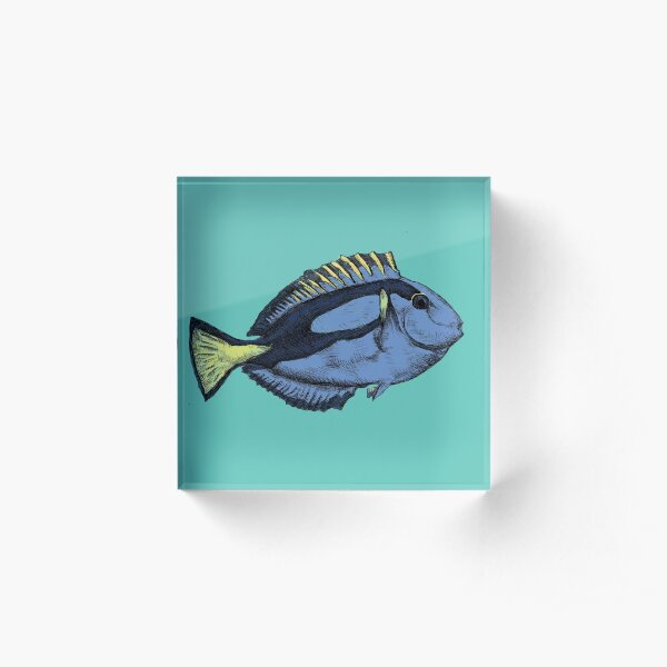 Blue Tang Acrylic Block